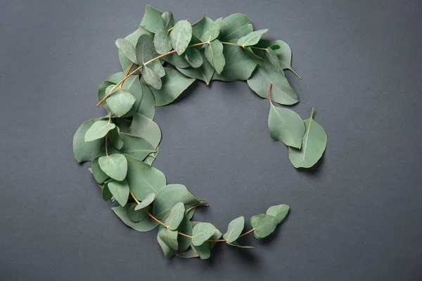 Eucalyptus Branches Fresh Leaves Grey Background — Stock Photo, Image