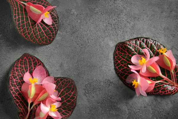 Krásné Tropické Květiny Listy Šedém Pozadí — Stock fotografie