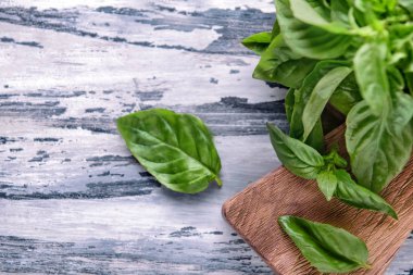 Tahta masada taze yeşil fesleğen