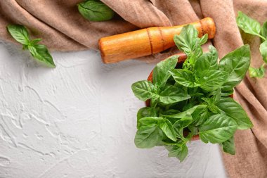 Harç ışık arka plan üzerinde taze yeşil fesleğen ile