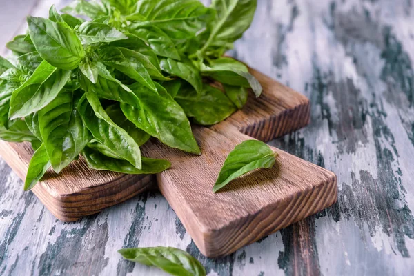 Albahaca Verde Fresca Sobre Tabla Madera —  Fotos de Stock