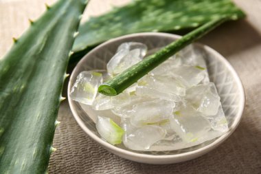 Aloe vera tablo ile plaka