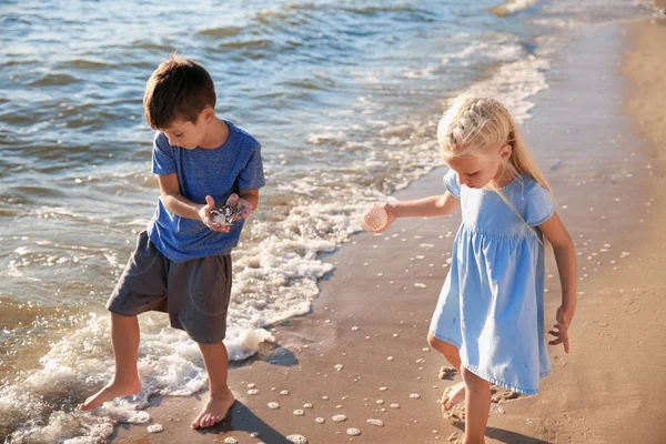 Bambini Piccoli Carini Con Conchiglie Sulla Spiaggia — Foto Stock