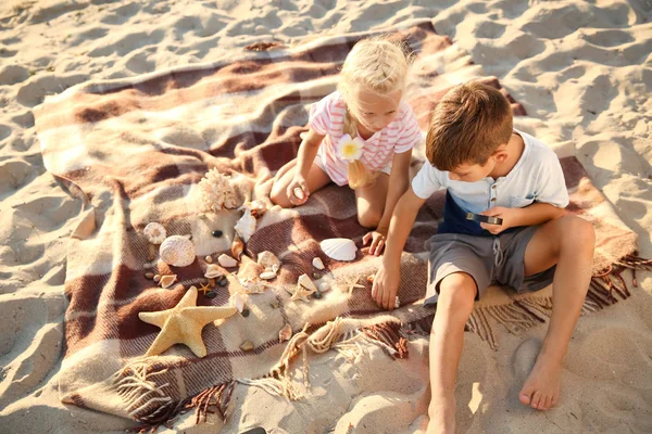 Niedliche Kleine Kinder Spielen Mit Muscheln Strand — Stockfoto