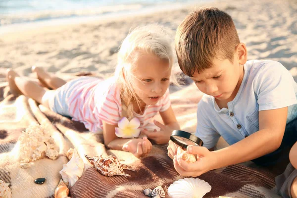 Niedliche Kleine Kinder Betrachten Muscheln Durch Vergrößerungsglas Strand — Stockfoto