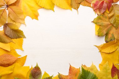 Sonbaharında yapılan çerçeve beyaz ahşap arka plan üzerinde bırakır