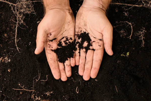 Male Hands Black Soil — Stock Photo, Image
