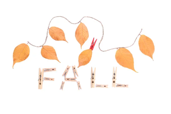 Slovo Pádu Kolíčky Podzimní Listí Bílém Pozadí — Stock fotografie