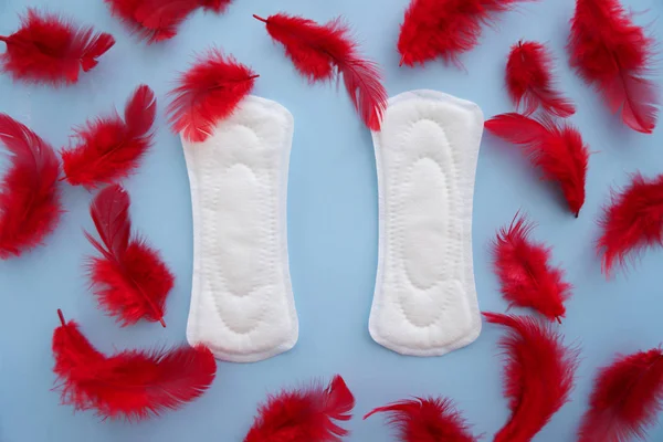 Almohadillas Menstruales Con Plumas Rojas Sobre Fondo Color —  Fotos de Stock