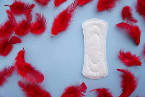Pad Menstruasi Dengan Bulu Merah Pada Latar Belakang Warna — Stok Foto