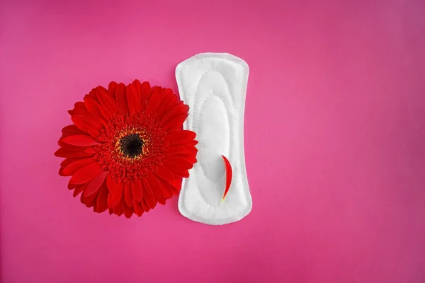 Almofada Menstrual Com Flor Vermelha Fundo Cor — Fotografia de Stock