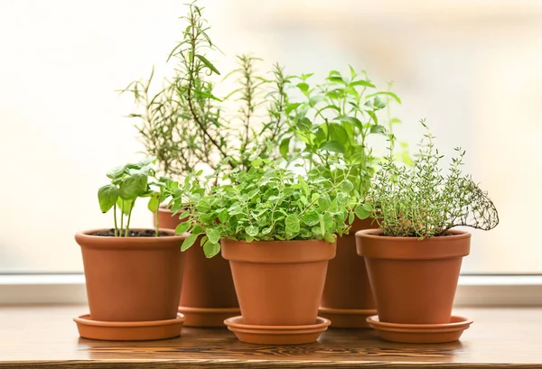 Pot Dengan Herbal Aromatik Segar Pada Jendela Kayu — Stok Foto