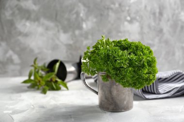 Işık tablosu üzerinde taze aromatik maydanoz ile metal Kupası