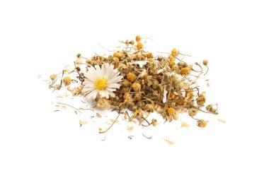 Beyaz arka plan üzerinde kurutulmuş papatya çiçeği