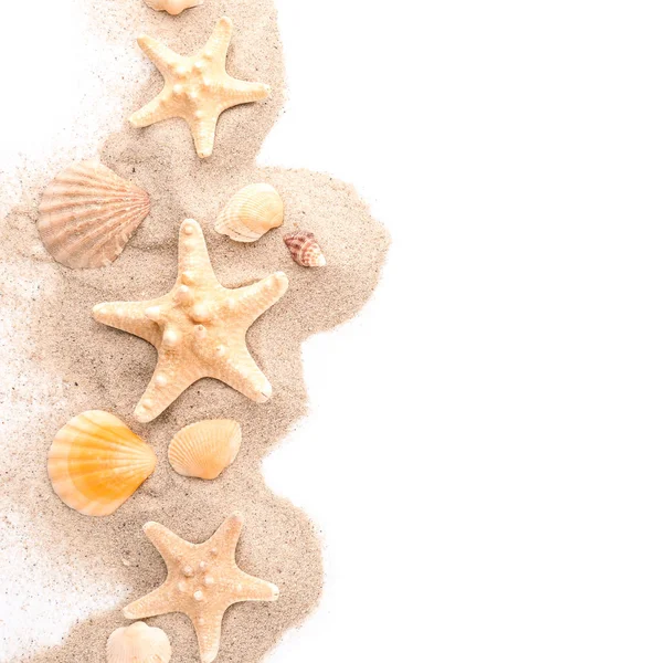 Composition Starfish Seashells Sand White Background — Stock Photo, Image