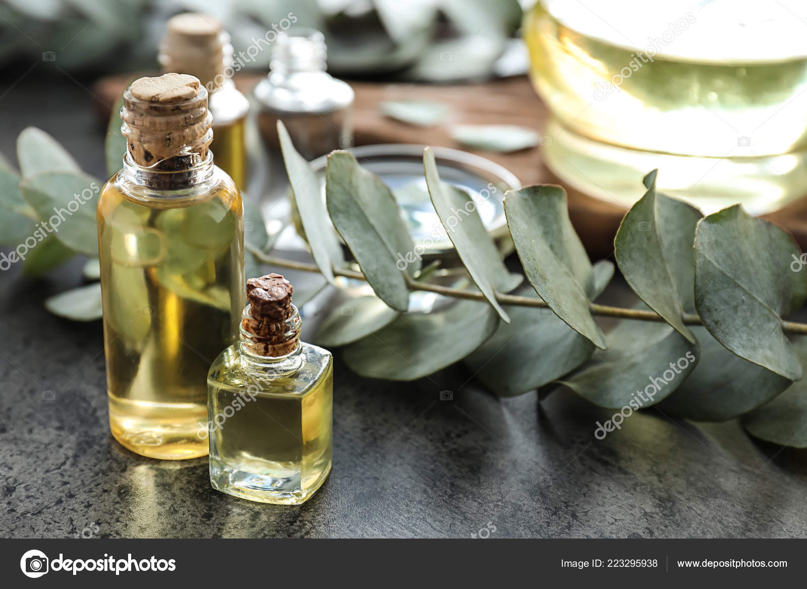 Массажное масло Shiatsu Masculine Амбра и масло эвкалипта, 100 мл 67008 - SHIATSU - Масла для массажа - Купить