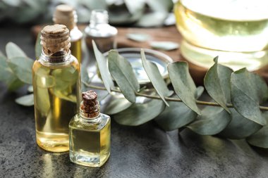 Şişe esans ve tablo dallarda okaliptüs