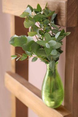 Ahşap merdiven üzerinde yeşil okaliptüs dalları ile vazo