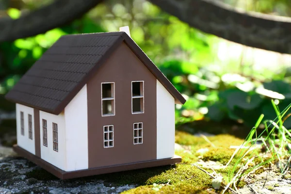 Modelo Casa Sobre Musgo Verde Concepto Ecológico — Foto de Stock