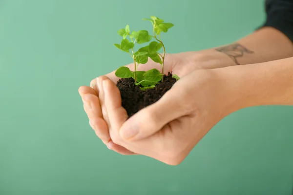 Woman Holding Soil Green Plant Hands Color Background Closeup Ecology — Stock Photo, Image