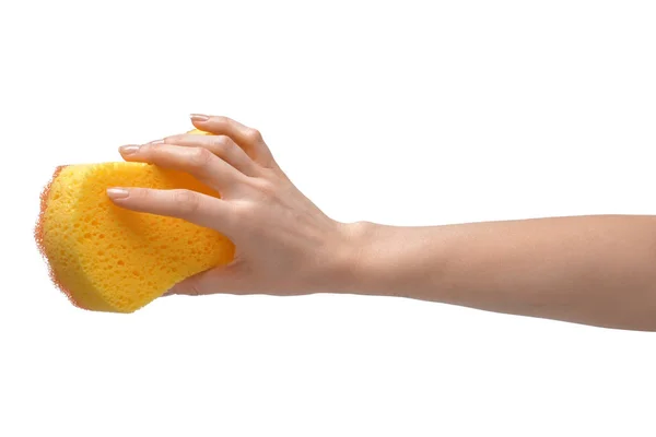 Woman Holding Cleaning Sponge White Background — Stock Photo, Image