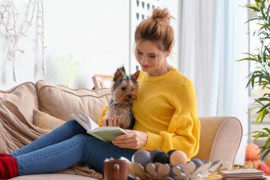 Sevimli köpek evde kitap okuma kadınla