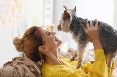 Sevimli köpek evde istirahat ile kadın
