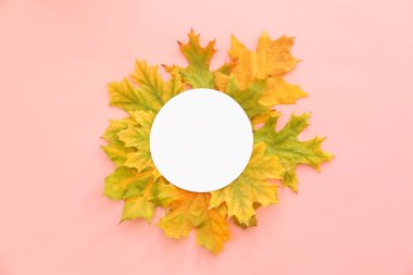 Güzel boş kart ile renk arka plan üzerinde yaprak