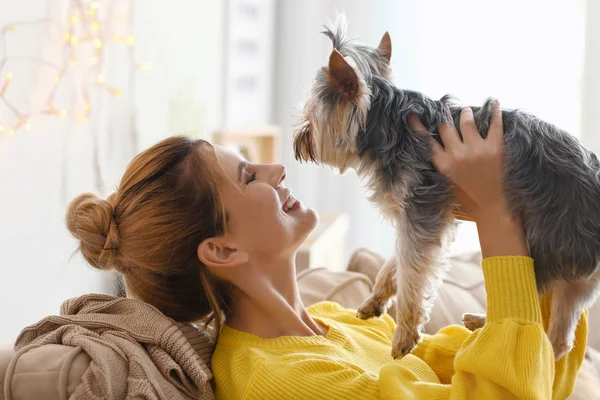 Woman Cute Dog Resting Home — Stock Photo, Image
