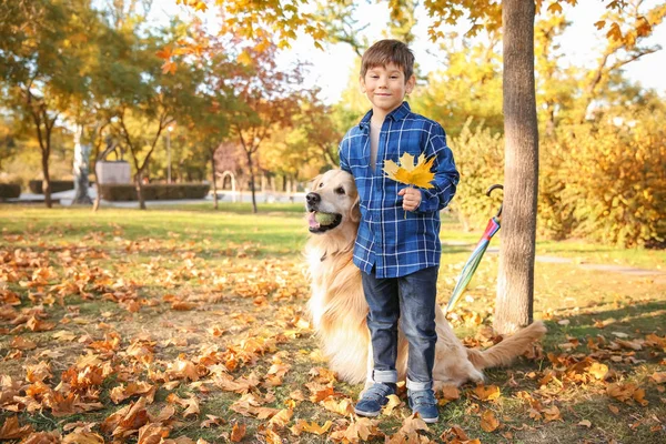 秋の公園で犬と一緒にかわいい男の子 — ストック写真