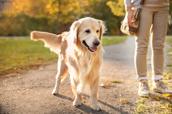 Lindo Perro Con Niño Parque Otoño — Foto de Stock