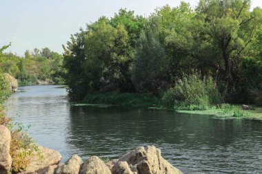 Güzel manzara nehir güneşli gün ile