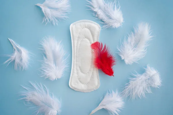 Almohadilla Menstrual Con Plumas Sobre Fondo Color — Foto de Stock