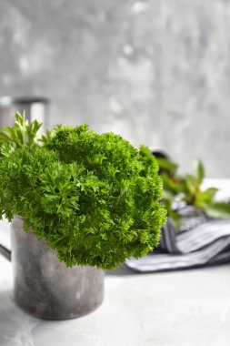 Işık tablosu üzerinde taze aromatik maydanoz ile metal Kupası