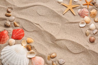 Farklı deniz kabukları ve starfishes kum üzerinde kompozisyonu