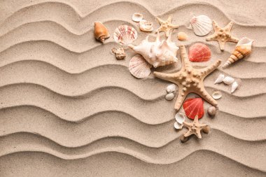 Composition with different sea shells and starfishes on sand clipart