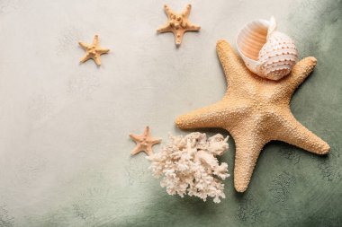 Starfishes deniz kabuğu ve mercan renk arka plan üzerinde