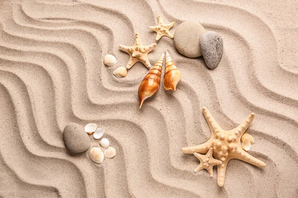 Différentes Coquillages Avec Des Étoiles Mer Des Pierres Sur Sable — Photo