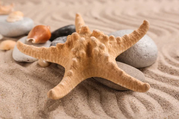 Starfish Stones Sand — Stock Photo, Image