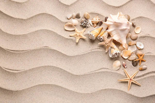 Olika Snäckskal Och Starfishes Sand — Stockfoto