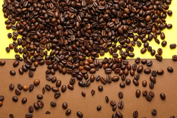 Coffee Beans Color Background — Stock Photo, Image