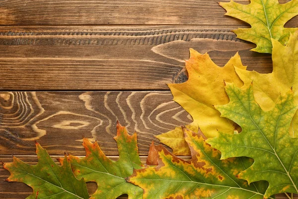 Hermosas Hojas Otoño Sobre Fondo Madera — Foto de Stock