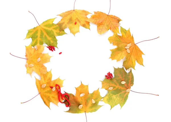 Frame Made Autumn Leaves White Background — Stock Photo, Image