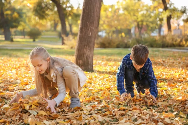 Children Playing Leaves Autumn Park — Stock Photo, Image