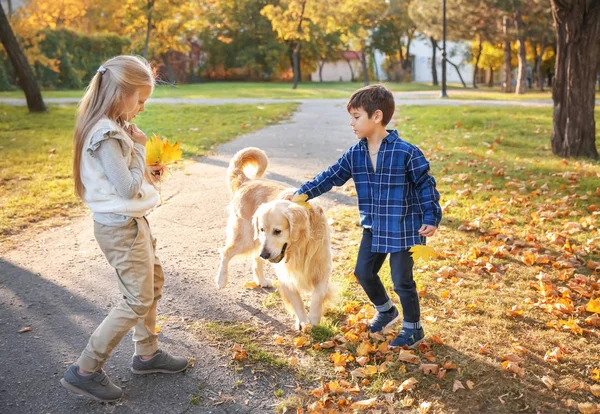 秋の公園で犬と一緒にかわいい子供たち — ストック写真