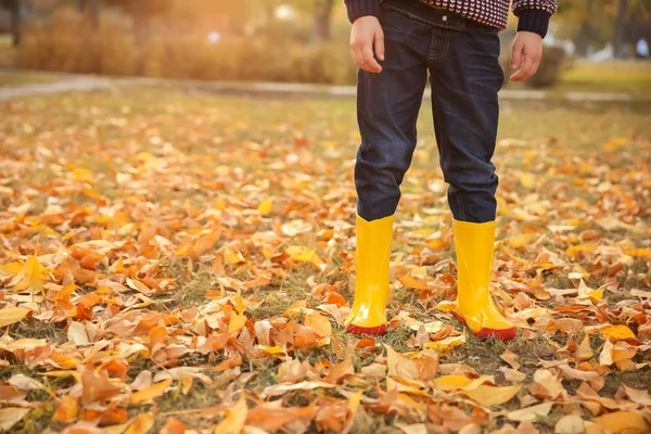 Cute Little Boy Autumn Park — Stock Photo, Image