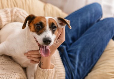 Ev sahibi ile şirin komik köpek