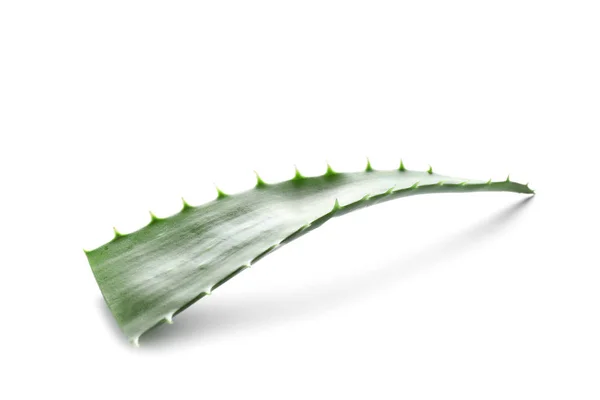 Hoja Fresca Aloe Vera Sobre Fondo Blanco —  Fotos de Stock