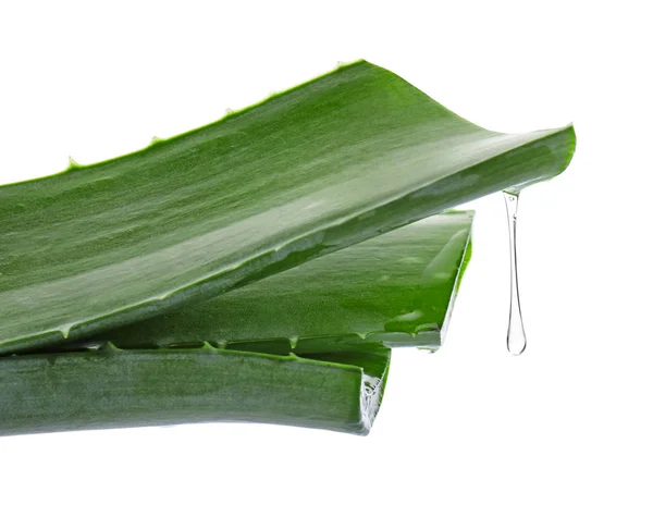 Fresh Aloe Vera Leaves Dripping Juice White Background — Stock Photo, Image