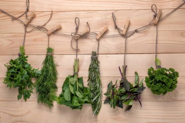 Demet ahşap arka plan üzerinde farklı taze otlar